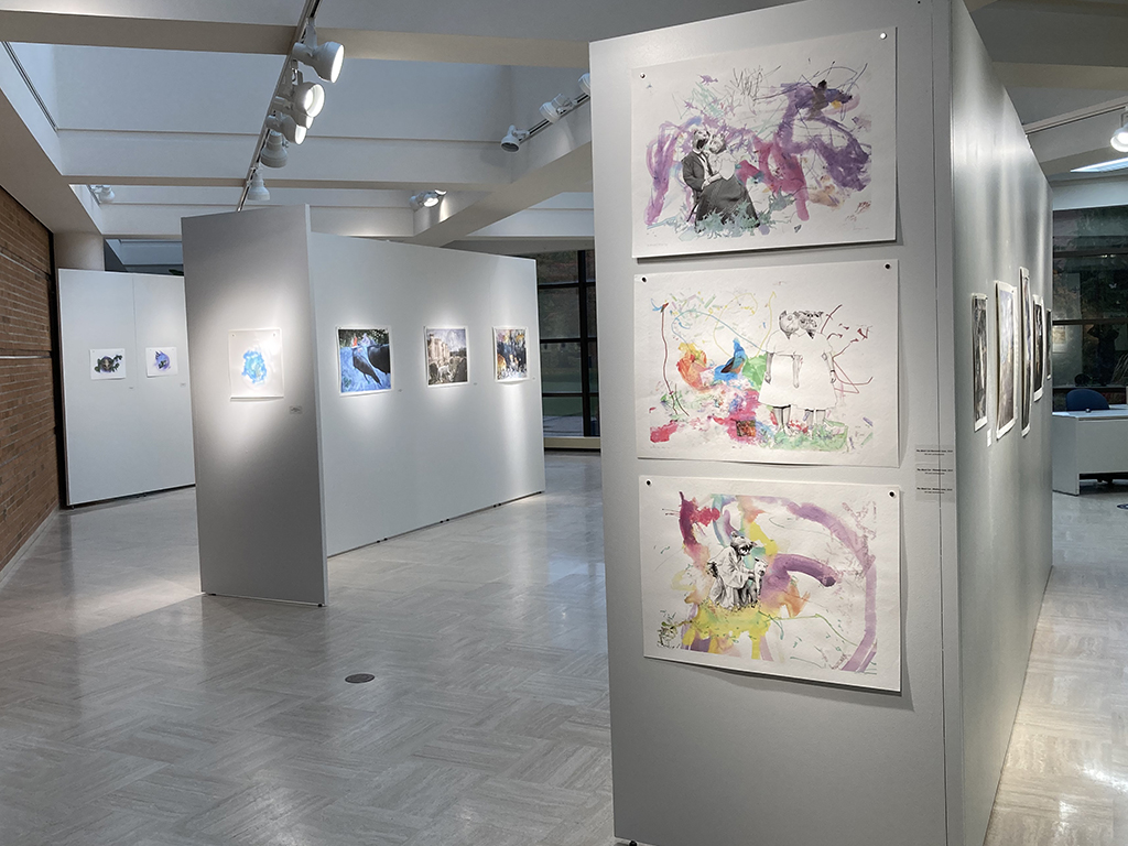 black cat series shown looking south from North corner of the gallery